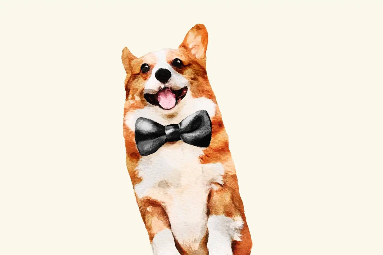 A watercolor painting of a happy corgi wearing a black bow tie, mouth open and tongue out, facing the viewer